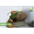 Kaca Interior Tekstur - MANERA 5mm 2