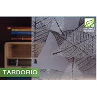 Kaca Interior Tekstur - TARDORIA 5mm