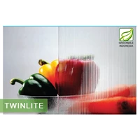 Patterned Glass - TWINLITE 5mm