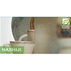 Patterned Glass - NASHIJI 10mm 2