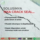 SIKA Sikadur 20 Crack Seal Penutup Retak Lem Beton FULL PACK 2